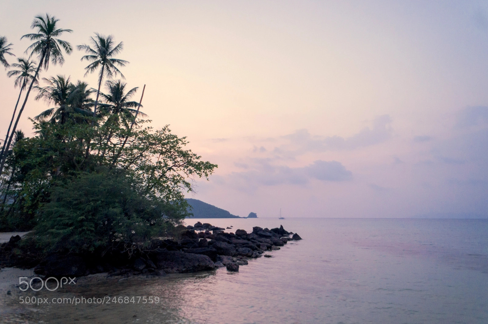 Sony Alpha NEX-5N sample photo. Untitled photography
