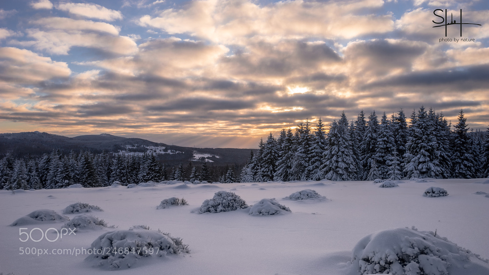 Sony a7 sample photo. Natur pur photography