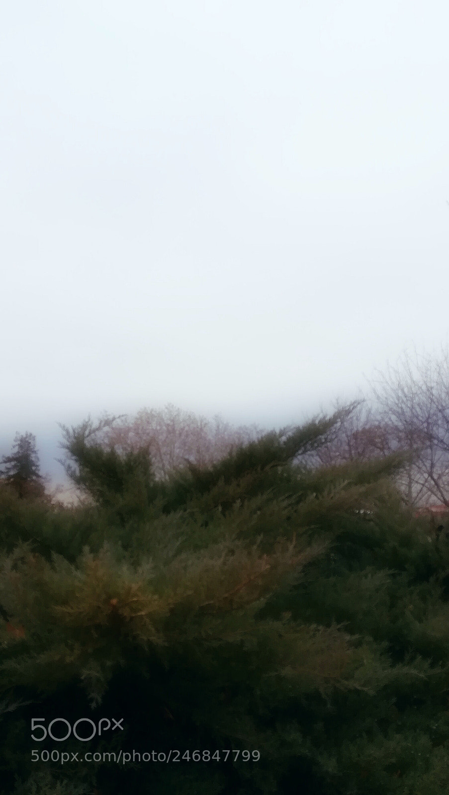HUAWEI PRA-LX1 sample photo. Oniric photography