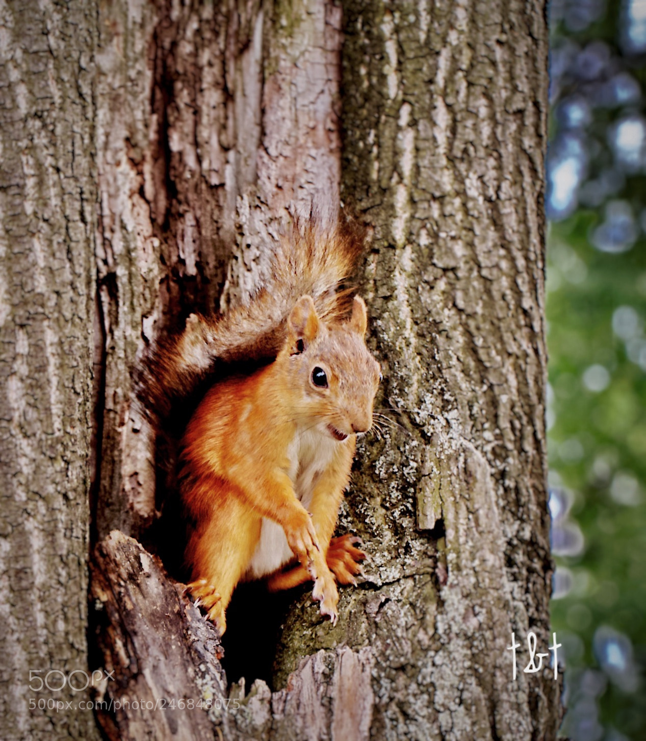 Canon EOS 7D sample photo. Untitled photography