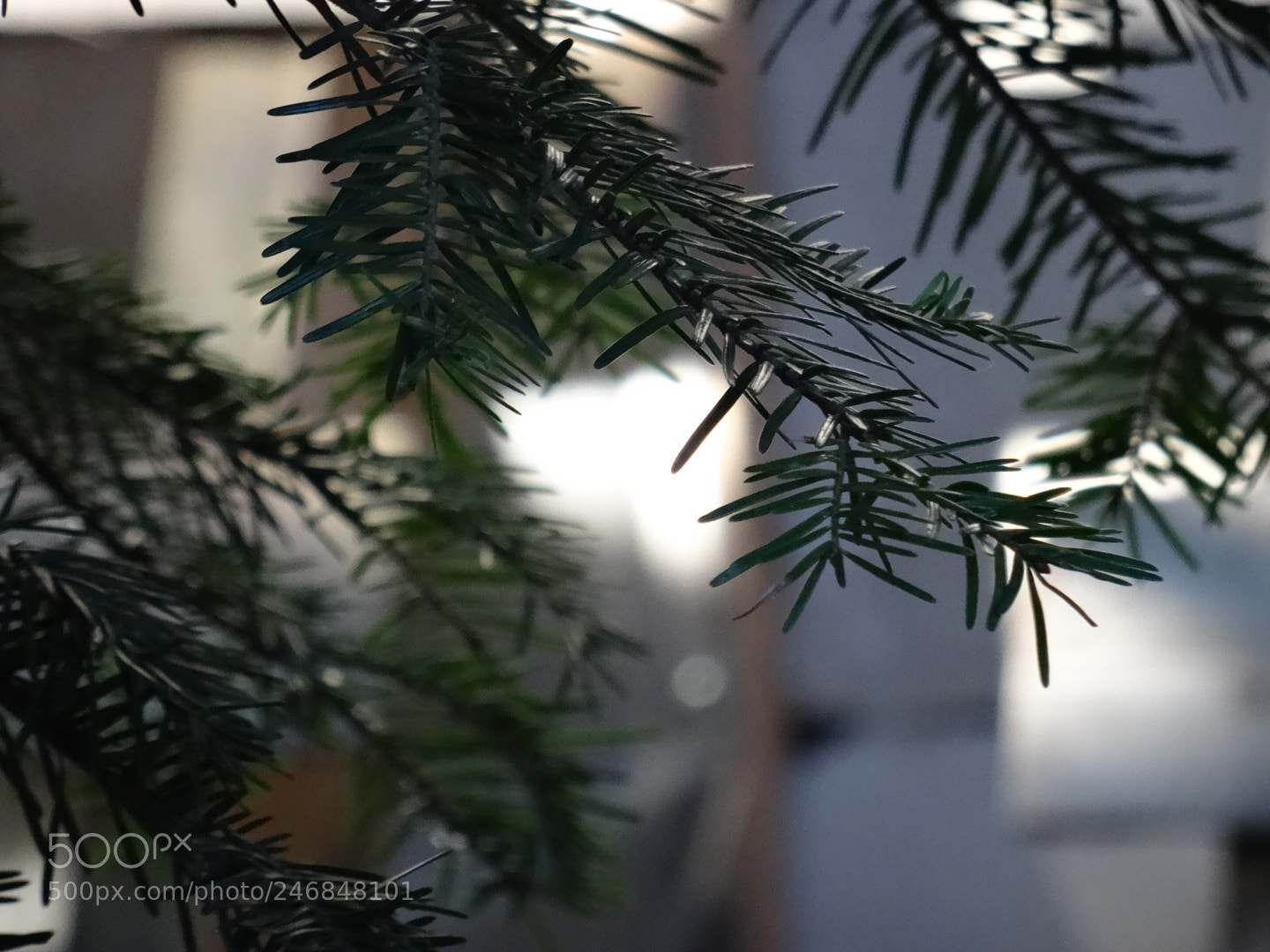 Sony DSC-HX50 sample photo. Untitled photography