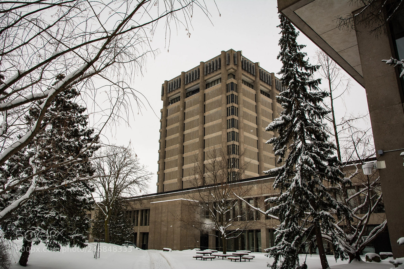 Nikon D7100 sample photo. Brock university photography