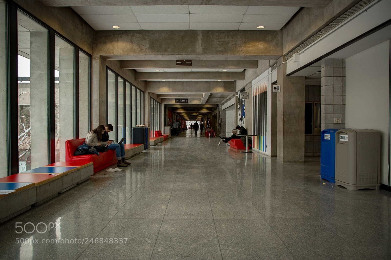 Nikon D7100 sample photo. Untitled photography