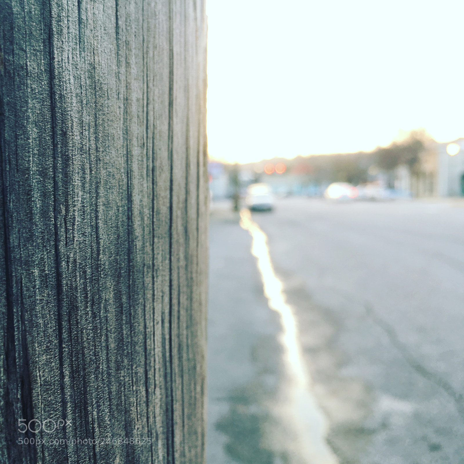 Apple iPhone SE sample photo. Untitled photography