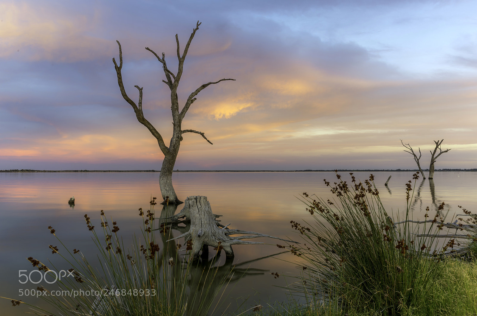 Nikon D610 sample photo. Tranquility photography