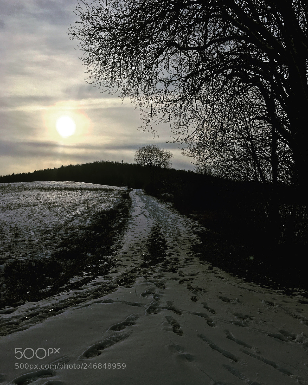 Apple iPhone 6s sample photo. A path towards the photography