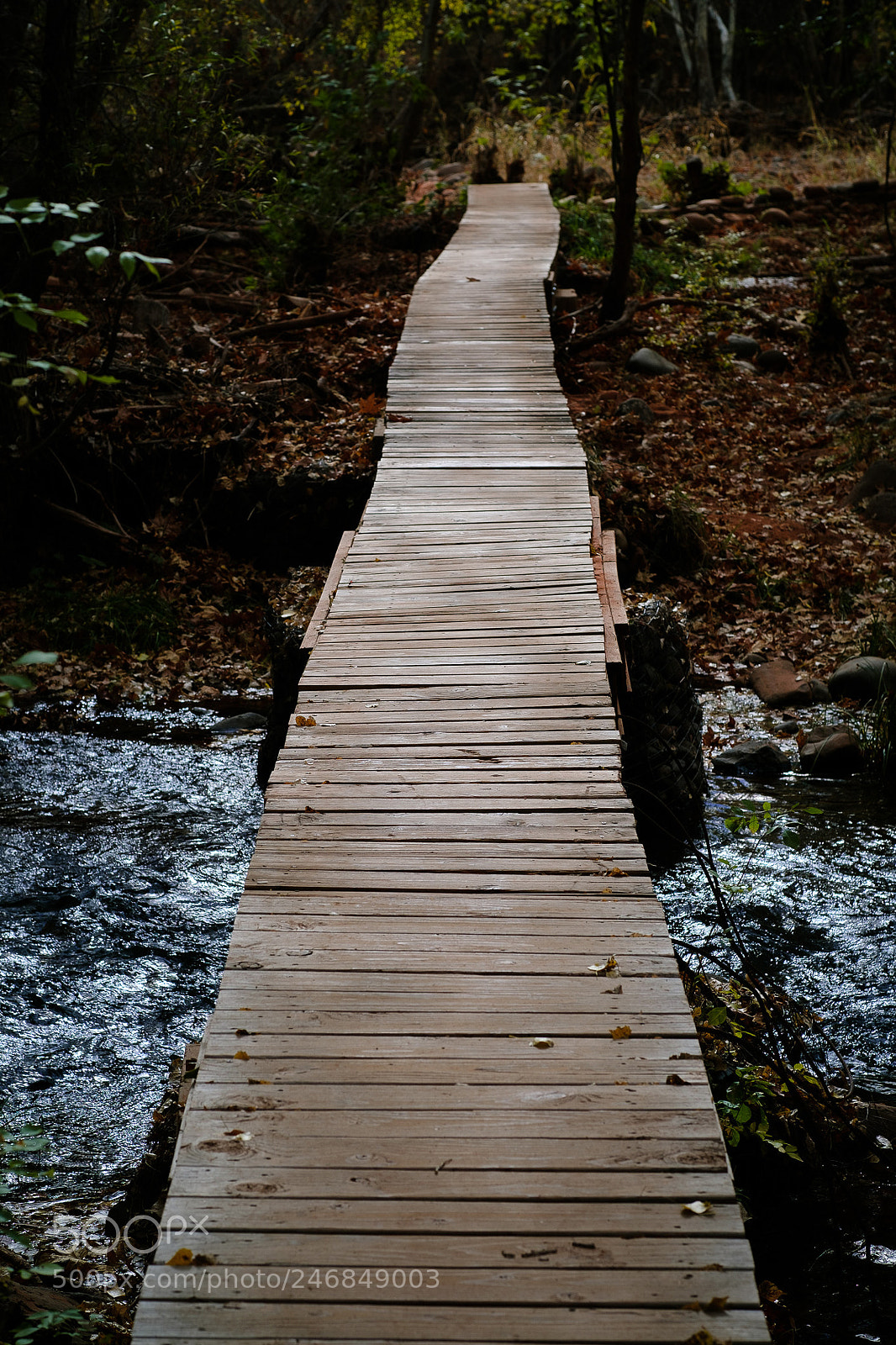 Fujifilm X-T2 sample photo. Footbridge photography