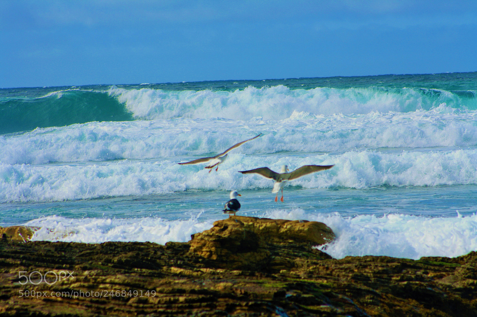 Canon EOS 1000D (EOS Digital Rebel XS / EOS Kiss F) sample photo. Natures beauty photography