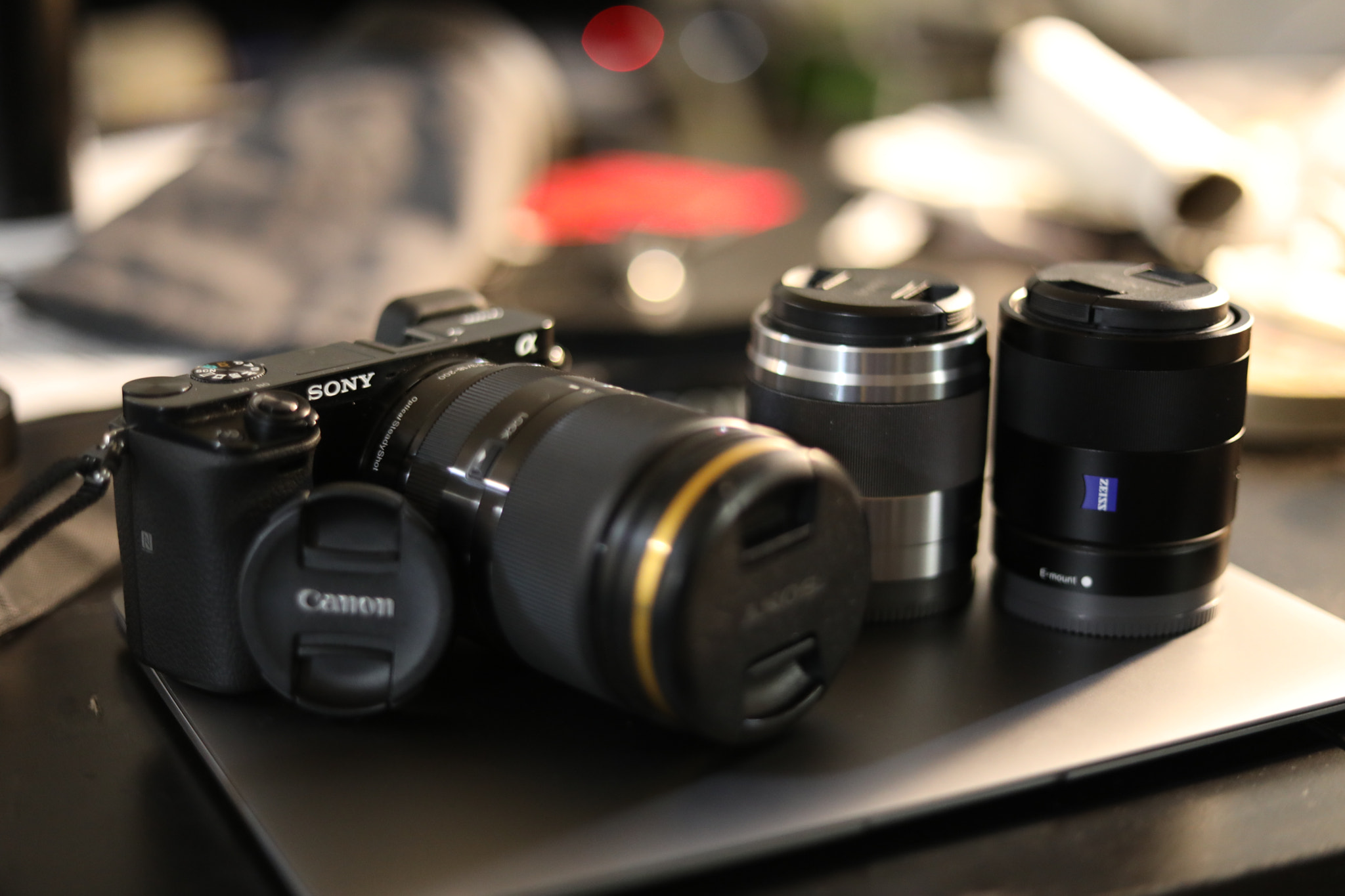 Canon EF 50mm F1.8 STM sample photo. Decided to give my sony gear to my mom. a6000 is a ... photography