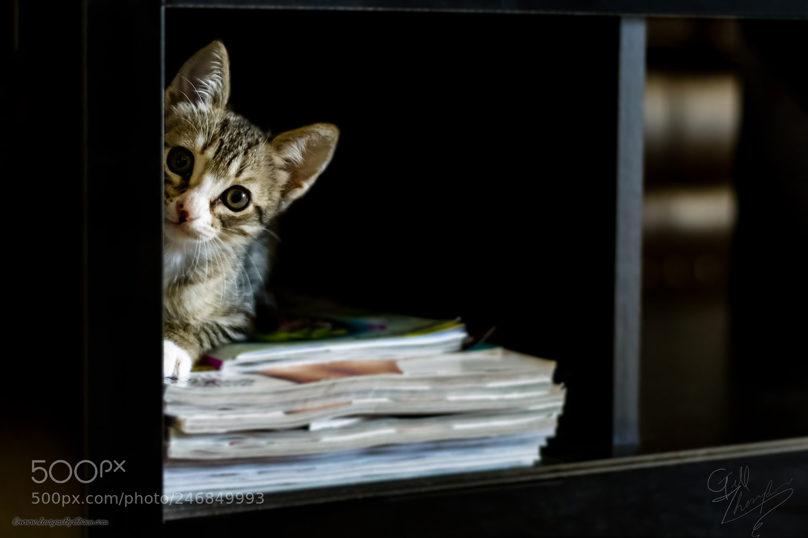 Canon EOS 7D sample photo. Gt_09657-1.jpg photography