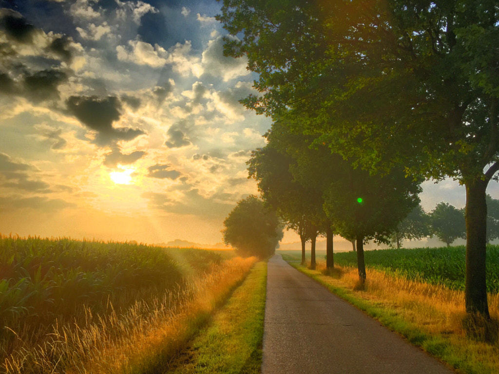 All seasons on one road by Bjorn Beheydt on 500px.com