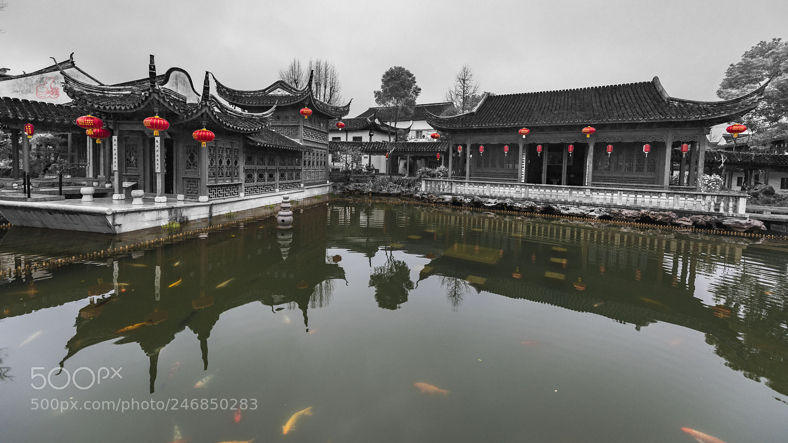 Nikon D810 sample photo. Untitled photography