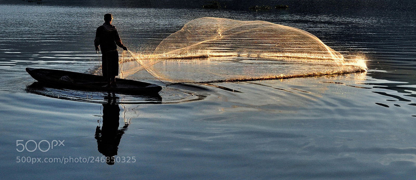 Nikon D5000 sample photo. Shining fishing net photography