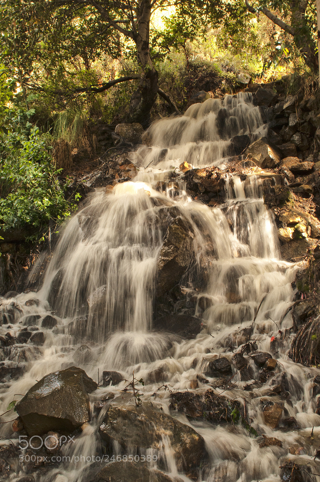 Nikon D300S sample photo. Tiraque - cochabamba photography