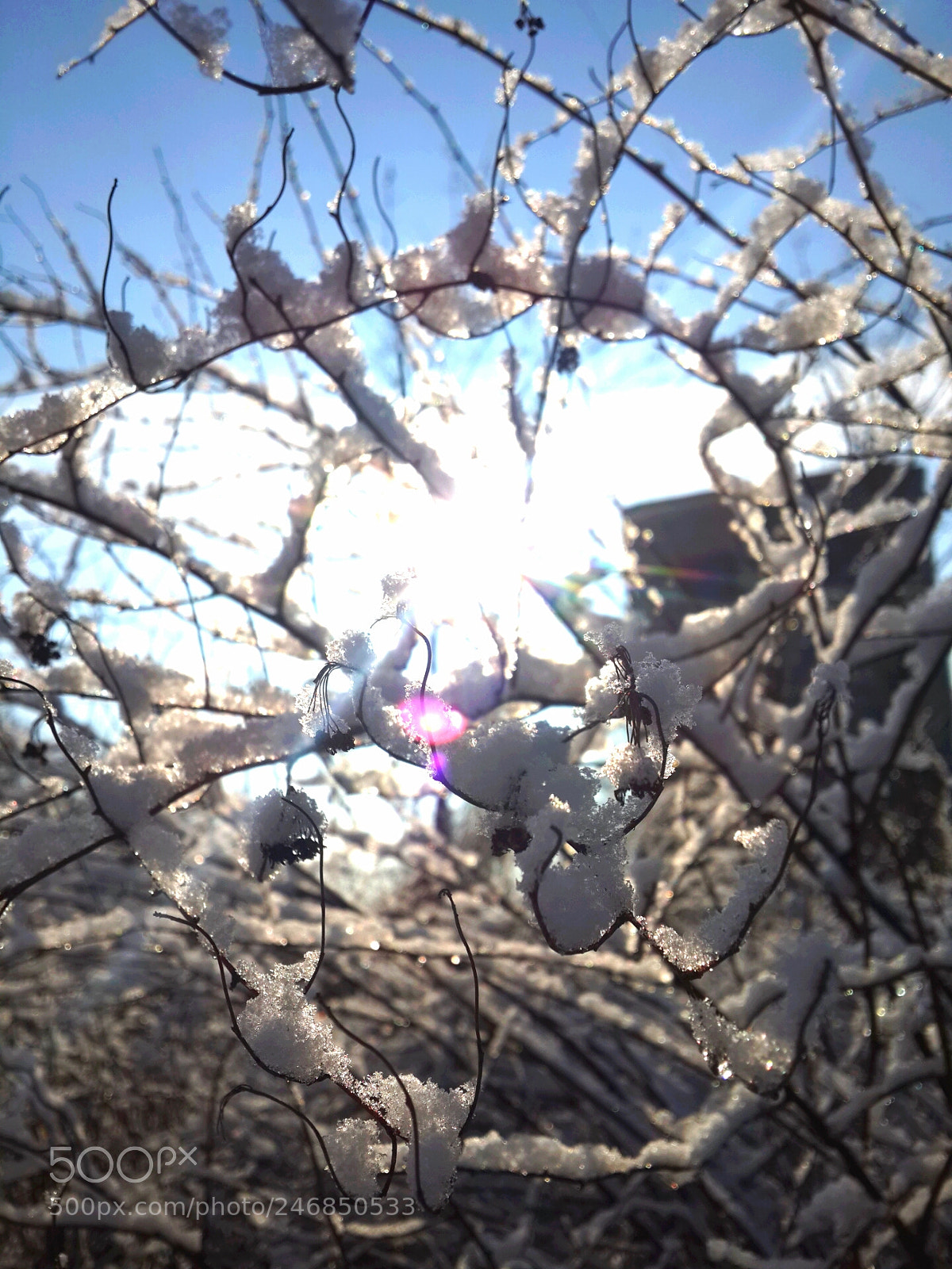 Samsung Galaxy S4 sample photo. Untitled photography