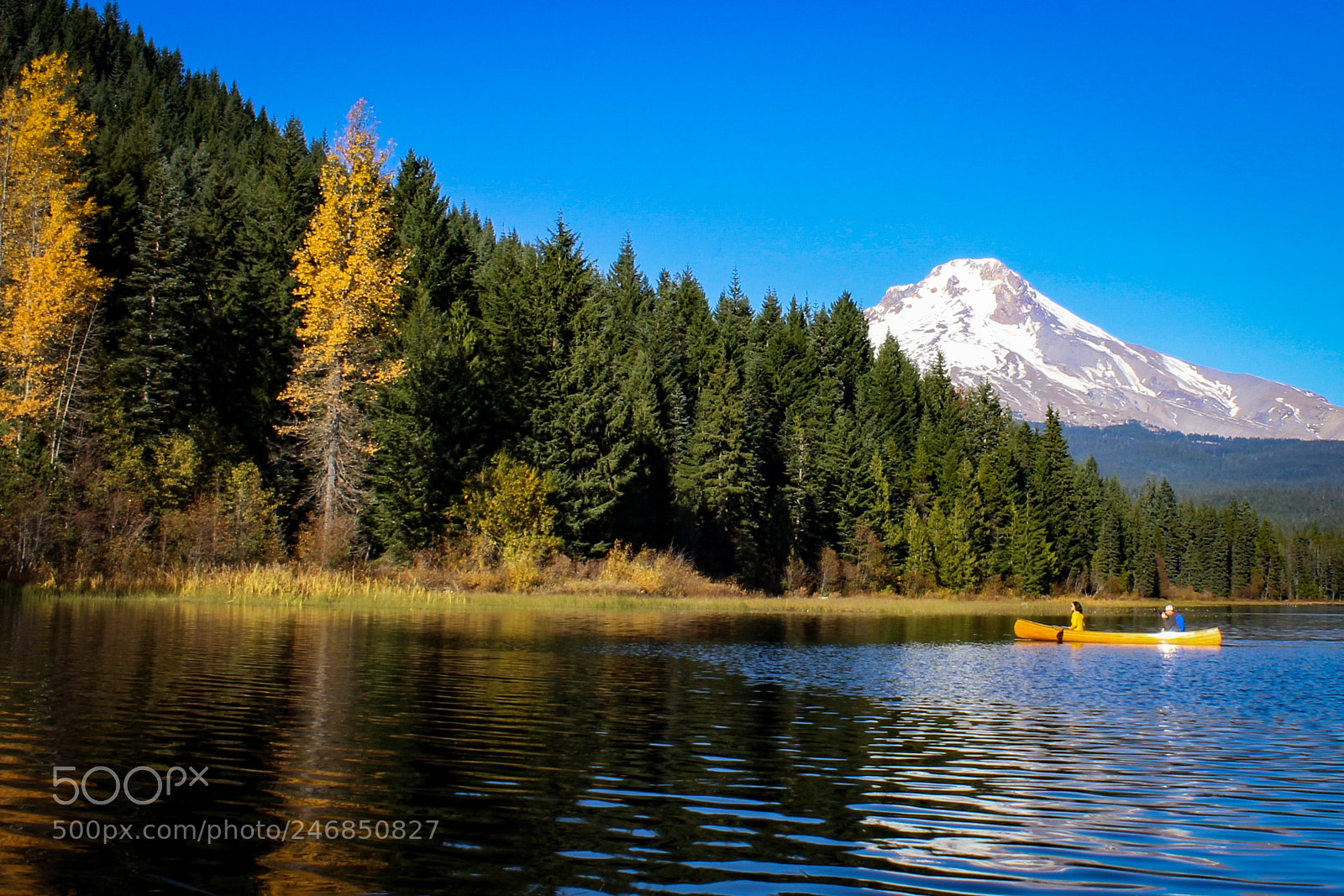 Canon EOS 1200D (EOS Rebel T5 / EOS Kiss X70 / EOS Hi) sample photo. Fall at trillium lake photography