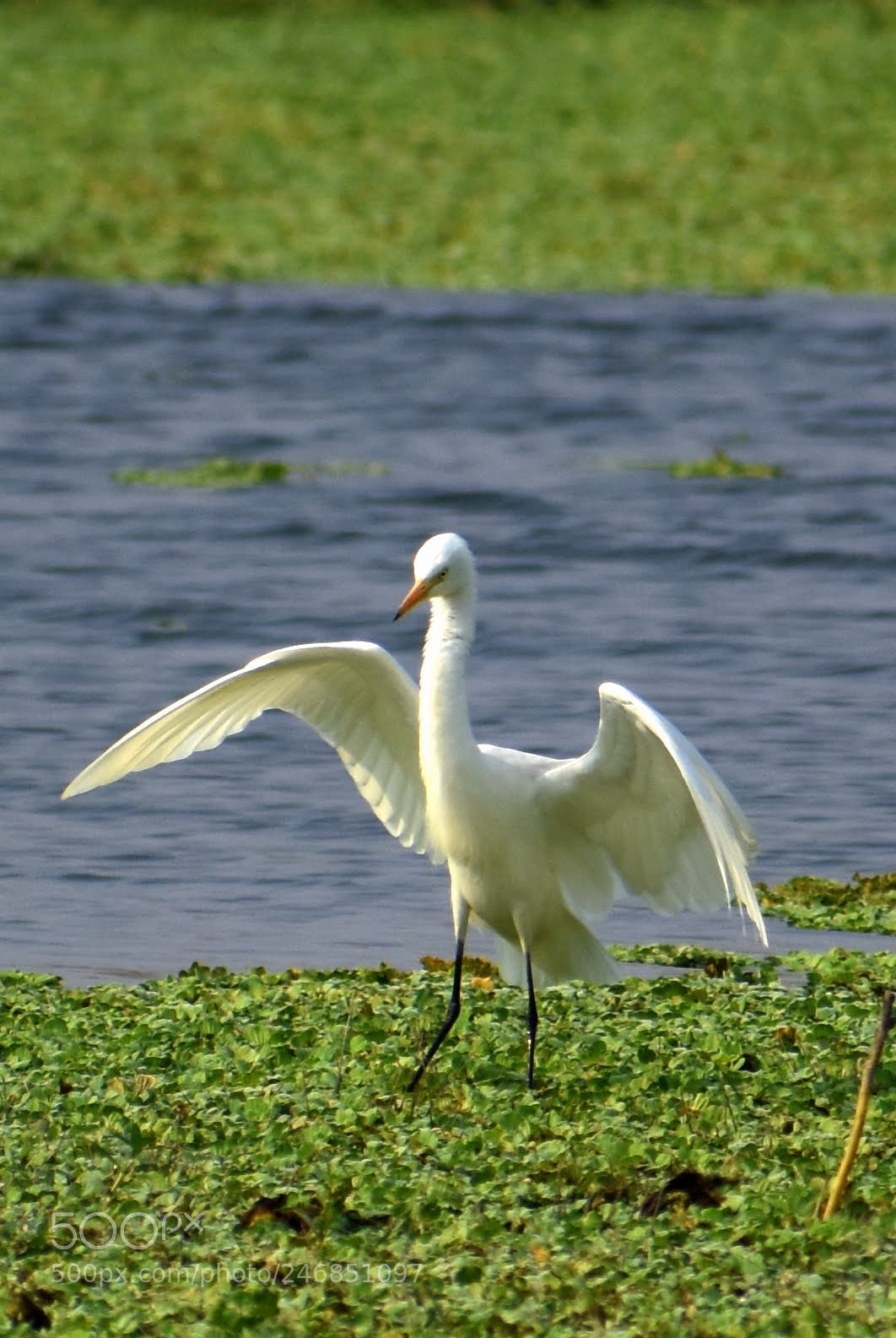 Nikon D7200 sample photo. Just landed photography