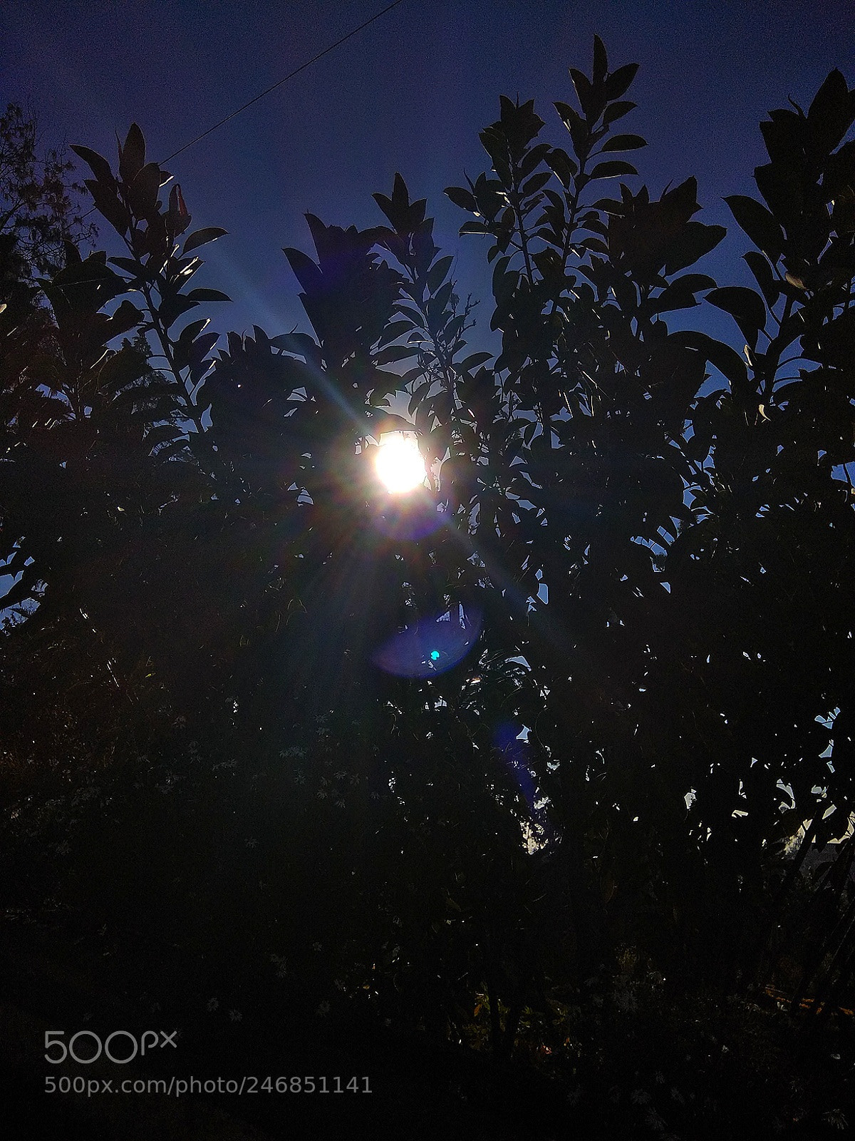 Xiaomi Redmi Note 4 sample photo. No effect added no photography
