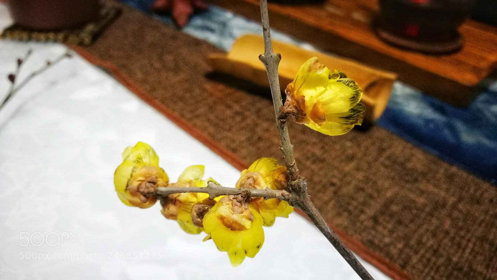 HUAWEI P9 sample photo. 暗香 photography