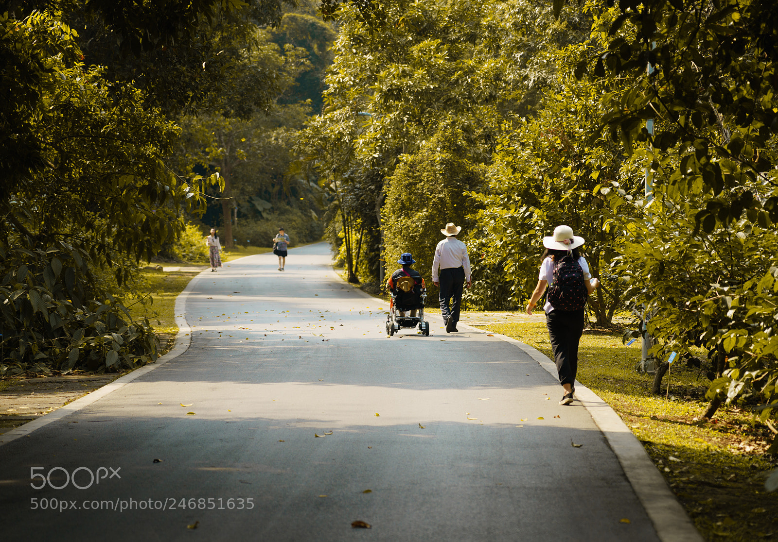Sony a7R II sample photo. Travel. photography