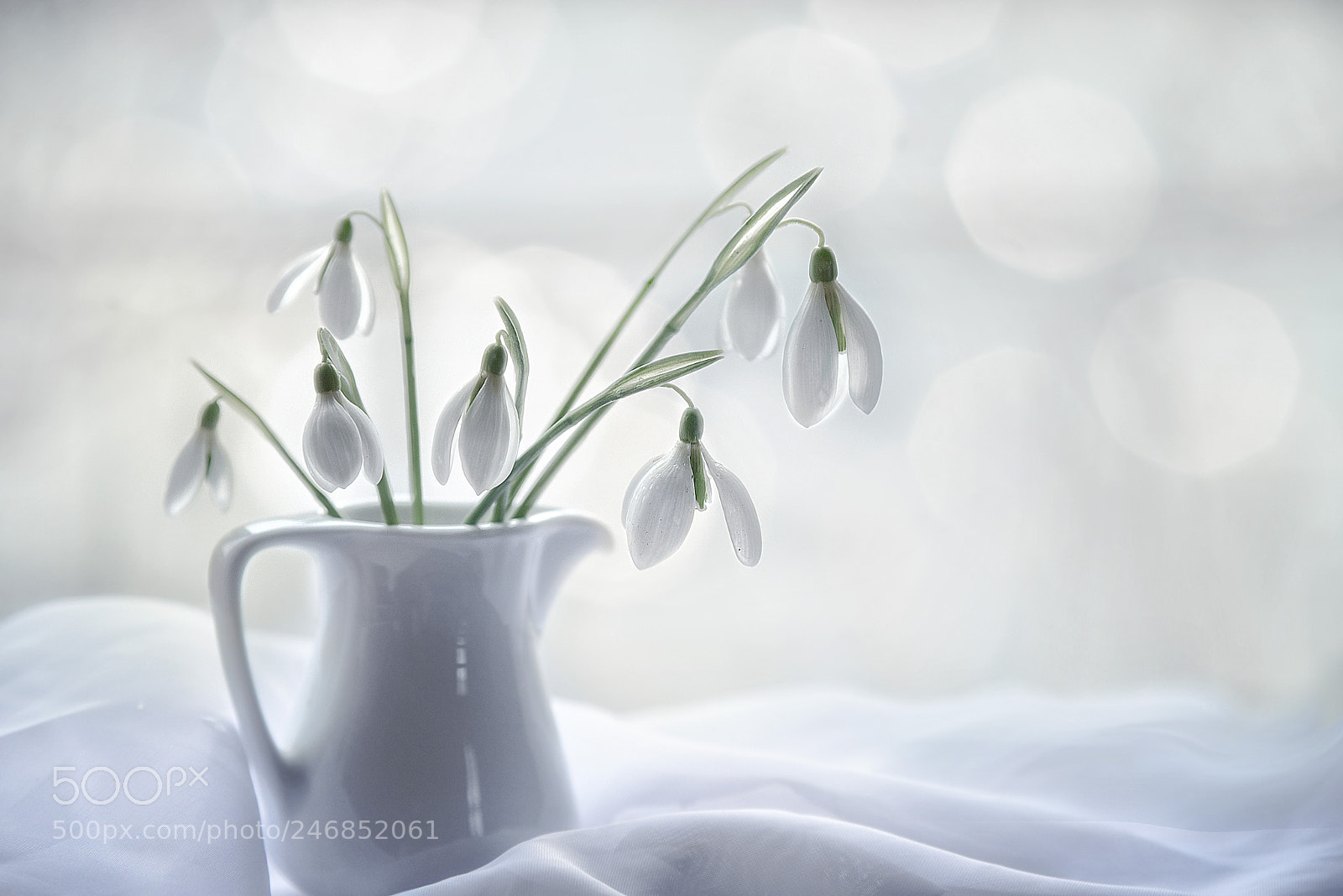 Nikon D610 sample photo. Gentle breath of spring photography