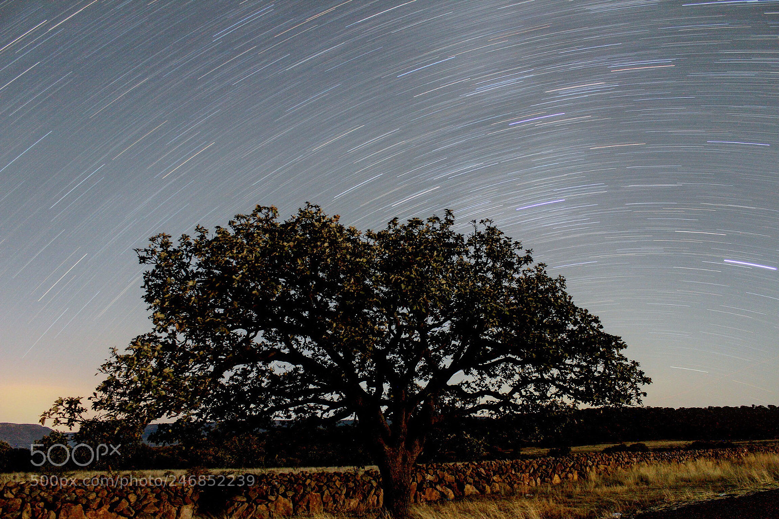 Canon EOS 600D (Rebel EOS T3i / EOS Kiss X5) sample photo. Barrido de estrellas photography