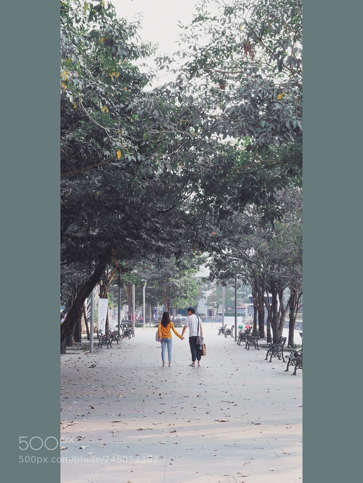Panasonic Lumix DMC-GX85 (Lumix DMC-GX80 / Lumix DMC-GX7 Mark II) sample photo. Untitled photography