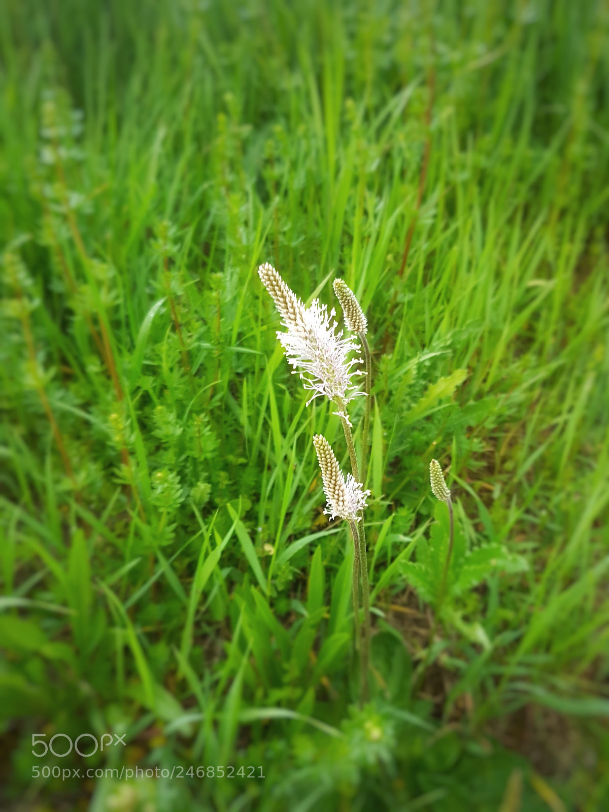 Samsung Galaxy S7 Edge sample photo. Untitled photography