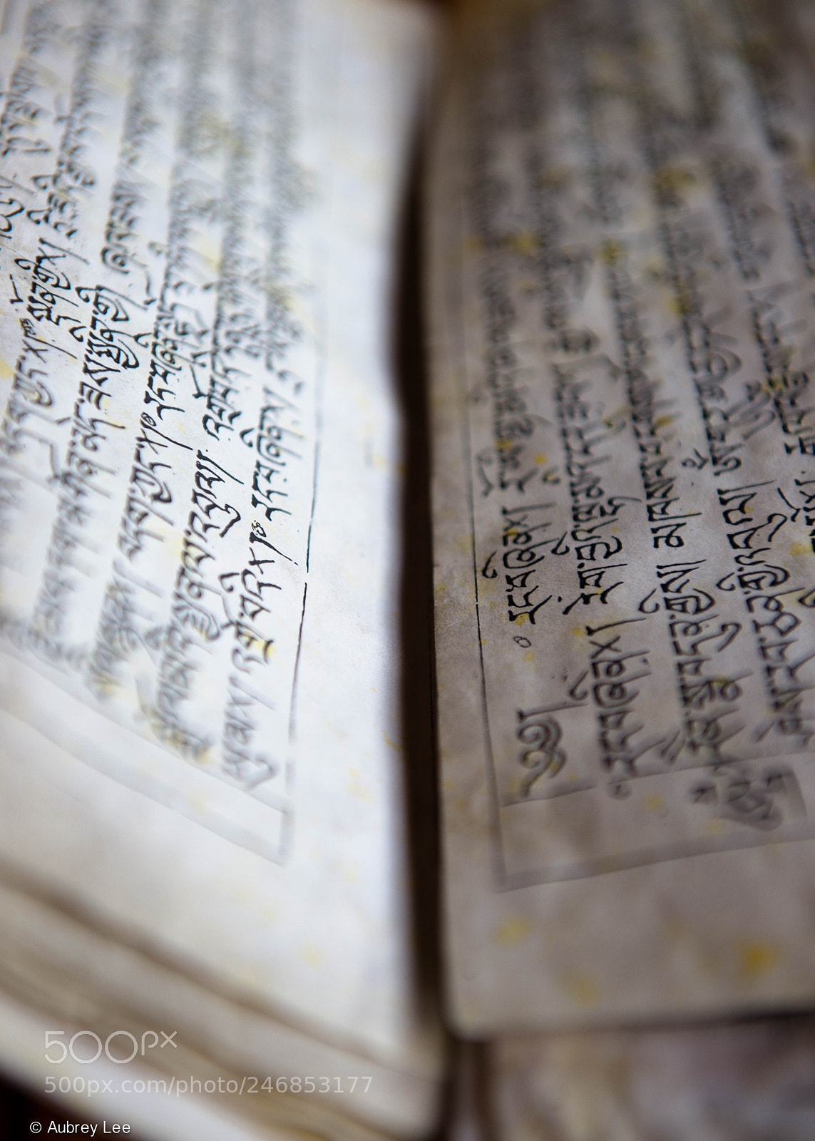 Nikon D610 sample photo. The script photography