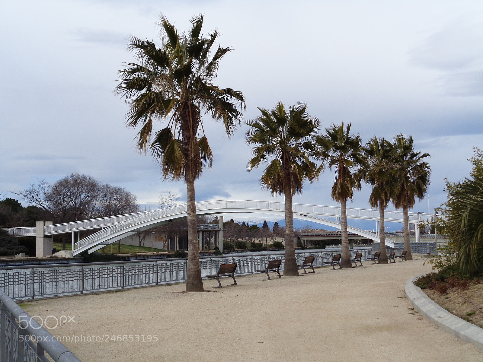 Sony Cyber-shot DSC-W830 sample photo. Campo las naciones photography