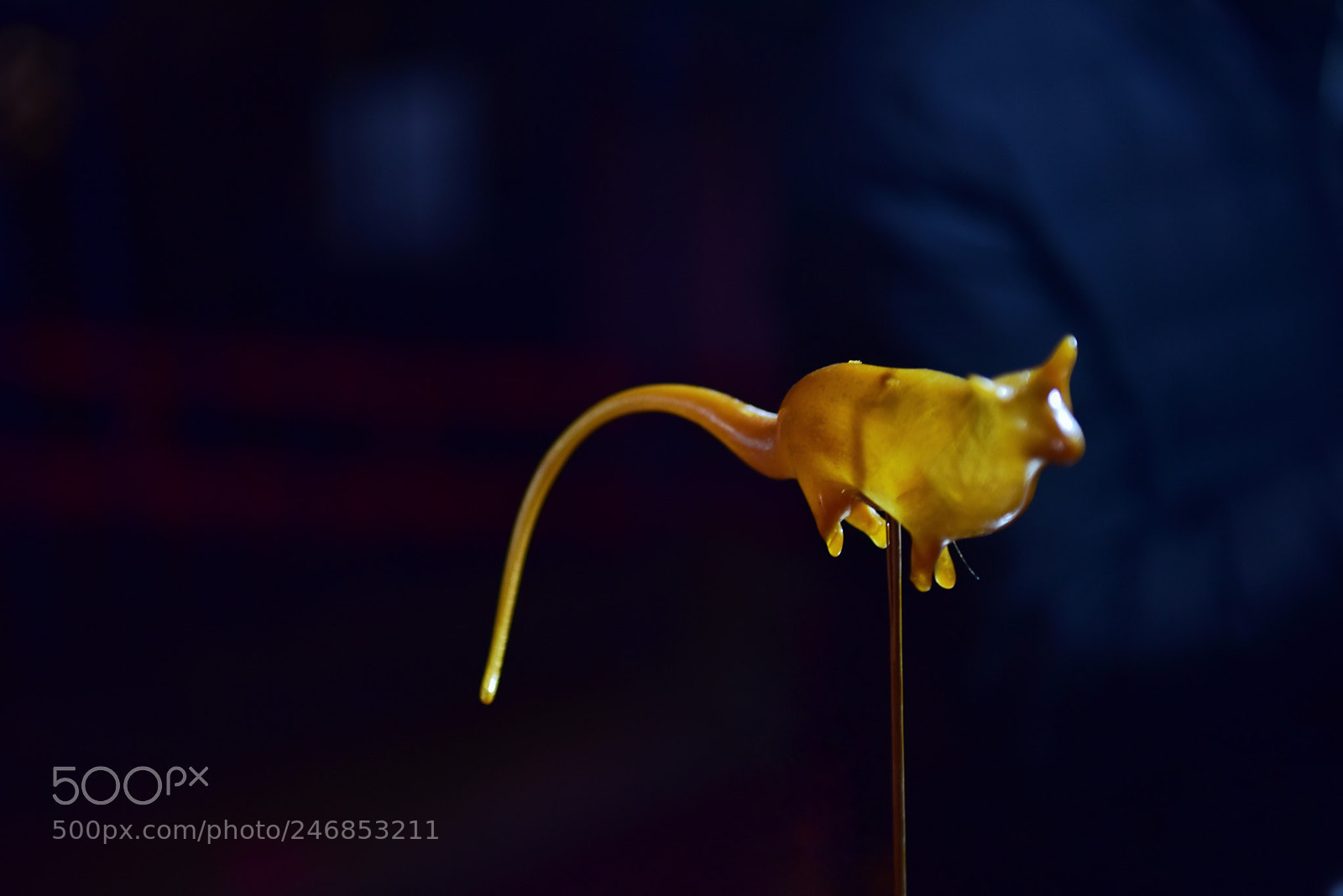 Nikon D810 sample photo. Untitled photography
