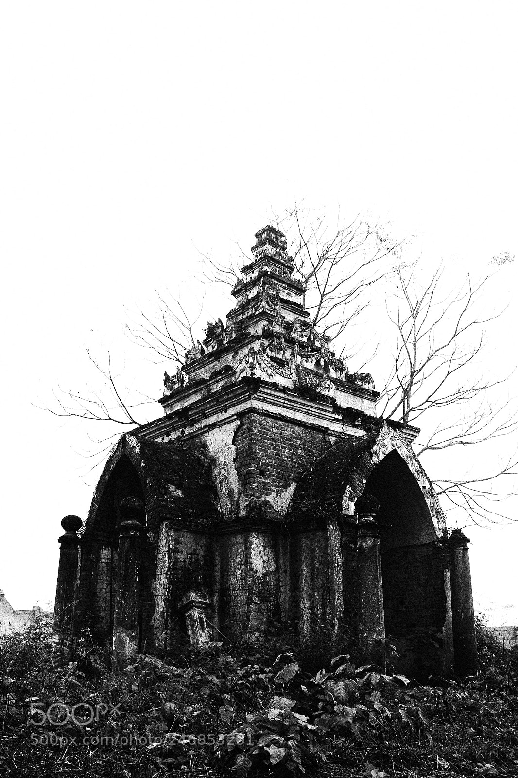 Canon EOS M sample photo. Untitled photography