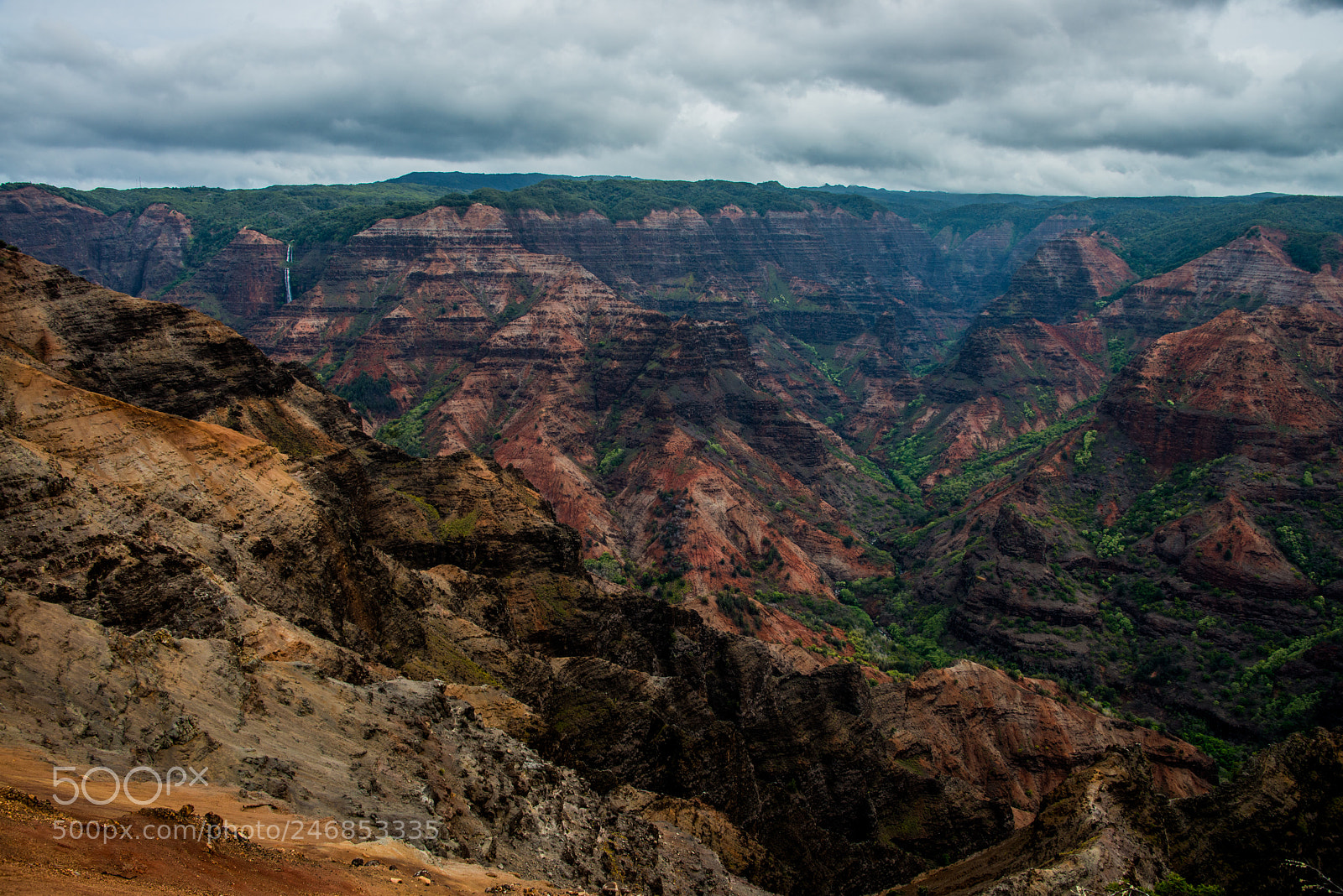 Nikon D800 sample photo. Waimea canyon, kauai photography