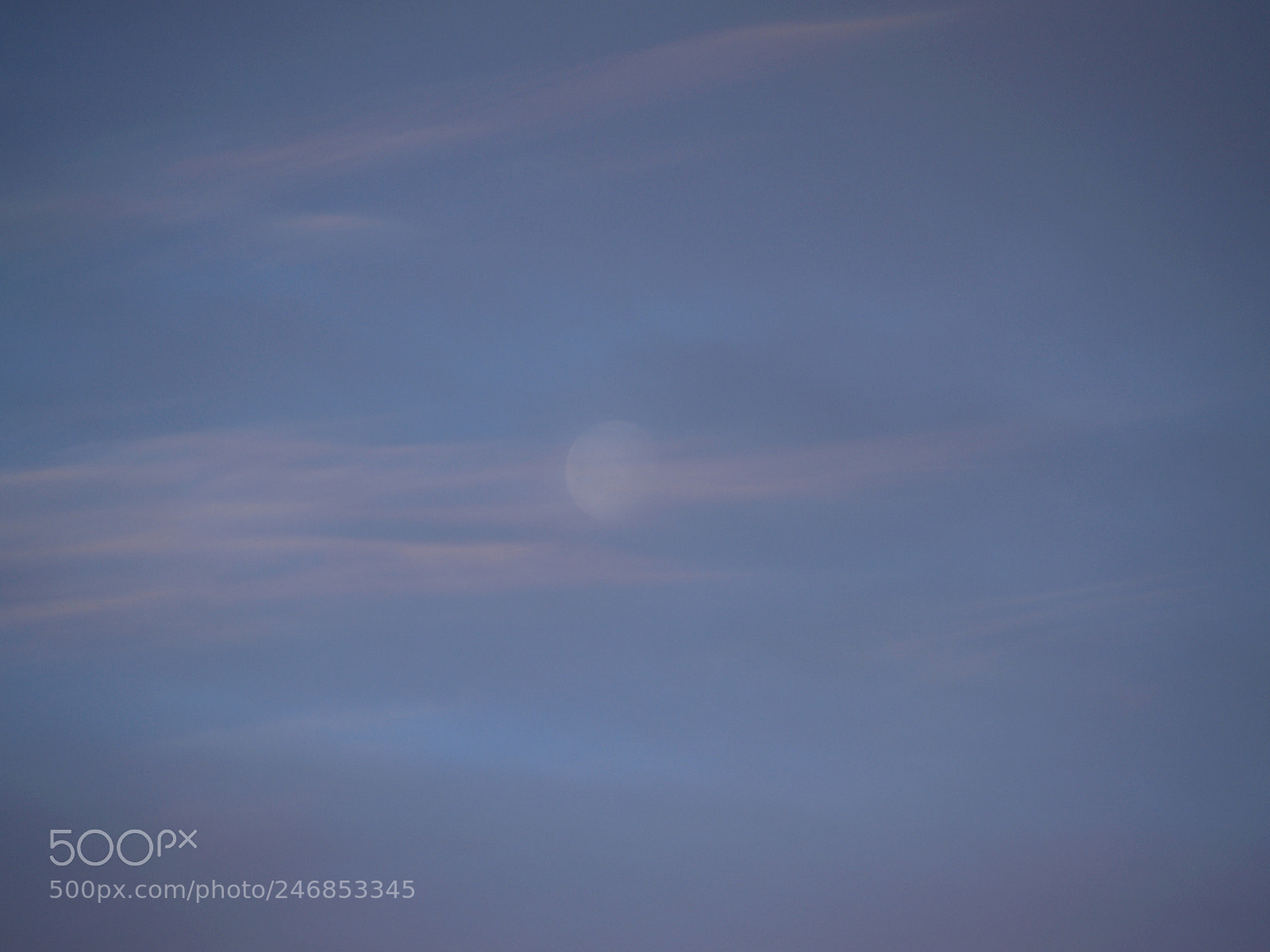 Olympus E-300 (EVOLT E-300) sample photo. Tender is the moon photography