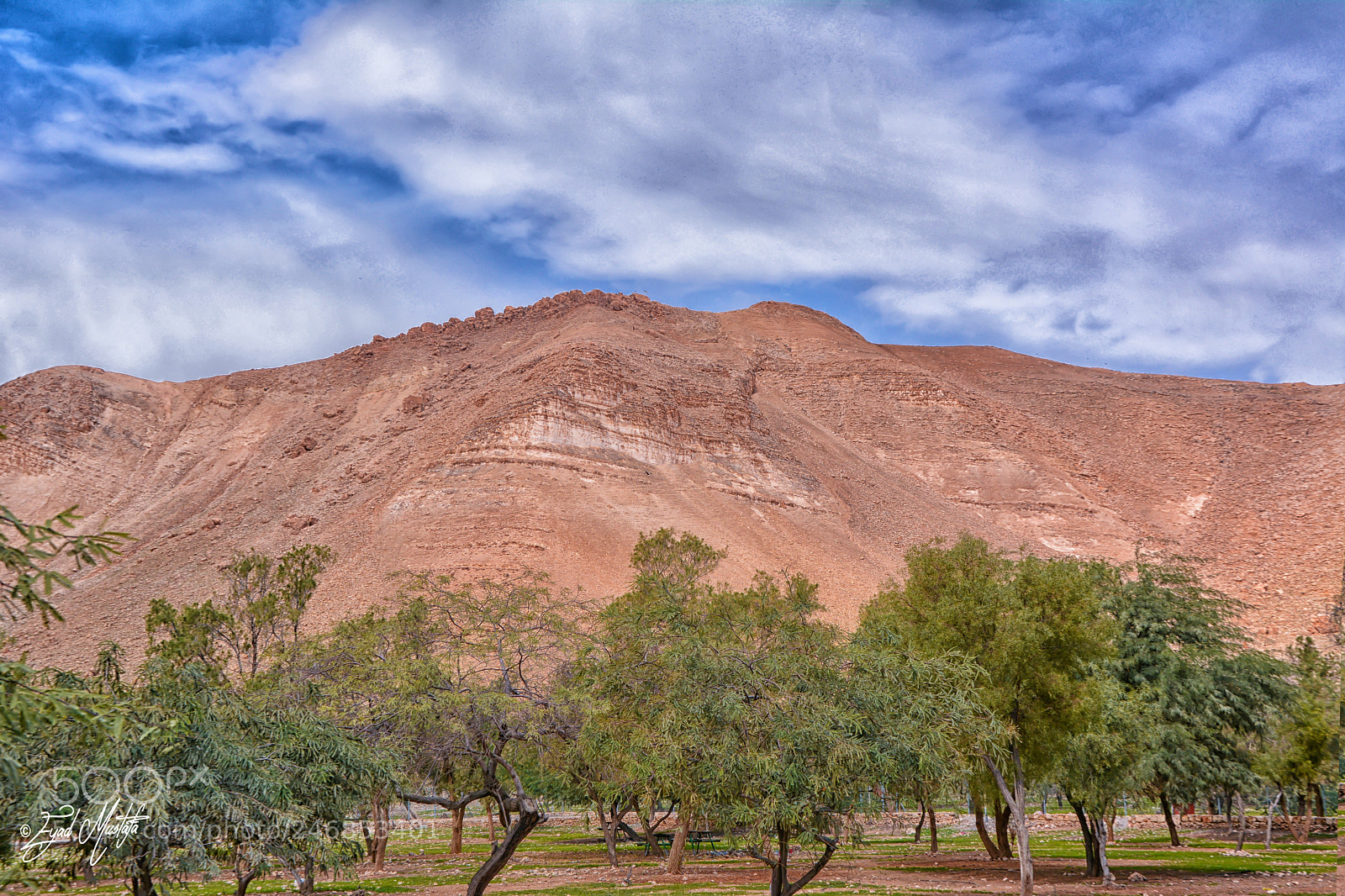 Nikon D7100 sample photo. Jericho photography