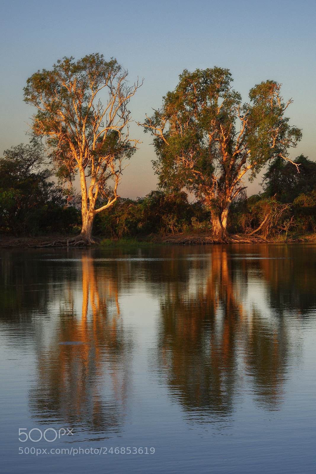 Pentax K-5 sample photo. Yellow water photography