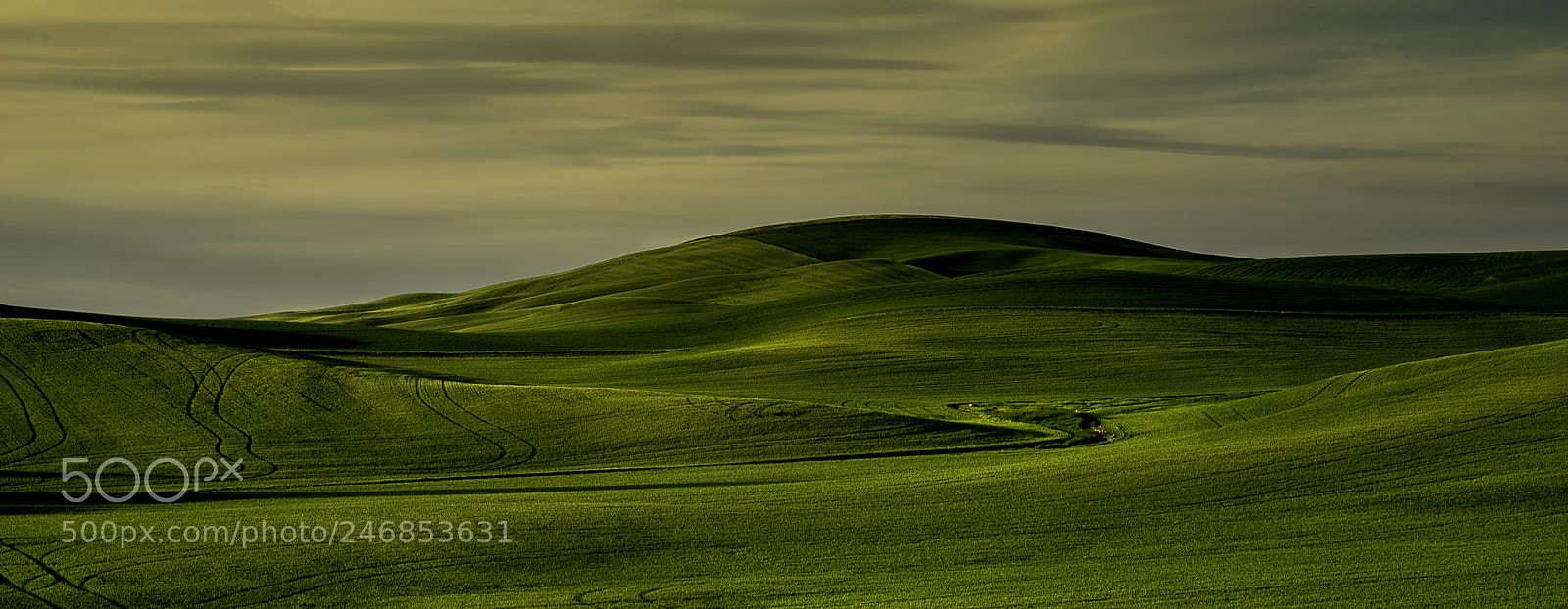 Sony a7R sample photo. Rolling photography