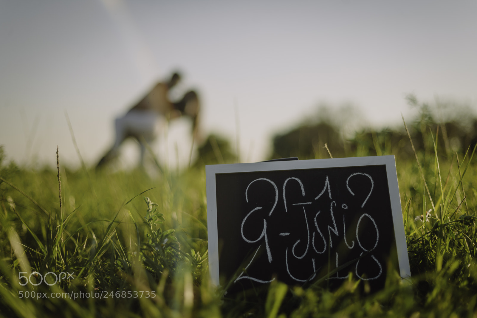 Canon EOS-1Ds Mark II sample photo. Cq photography