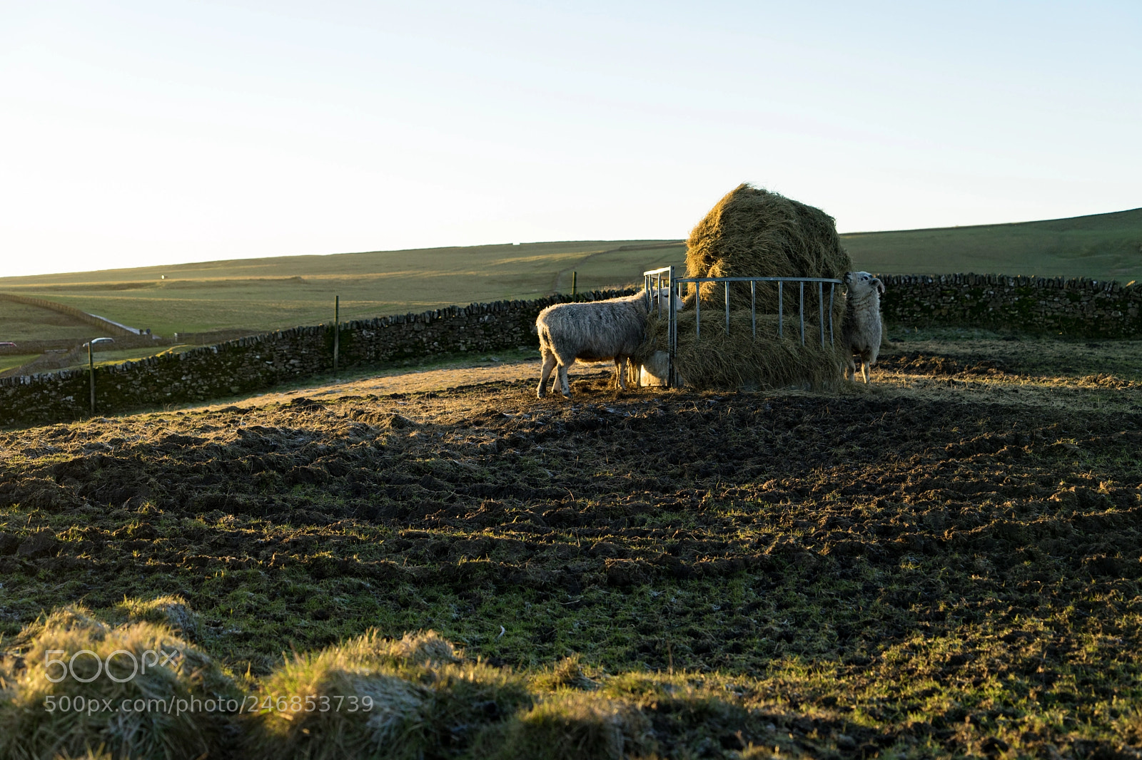 Sony a7 II sample photo. Breakfast at mam tor. photography