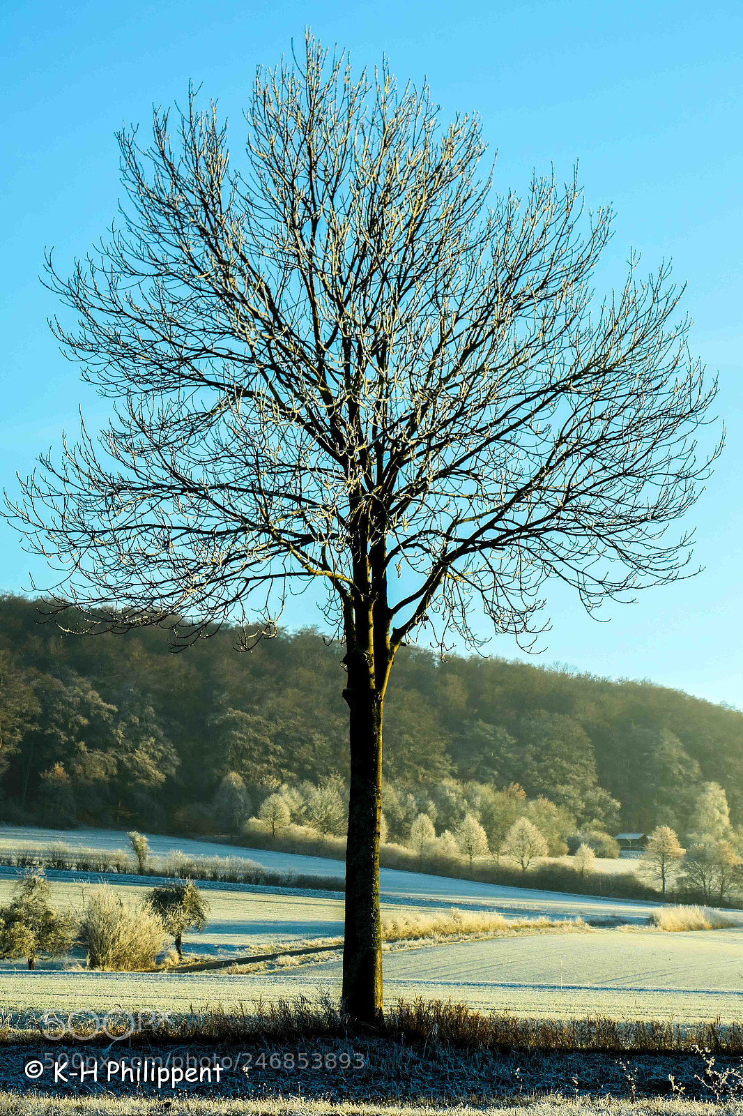 Canon PowerShot G3 X sample photo. Nordhessen germany , from photography