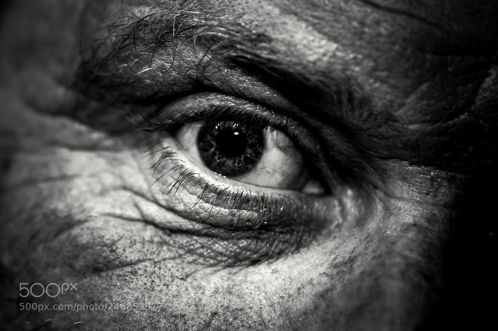 Nikon D3200 sample photo. Look into the soul photography