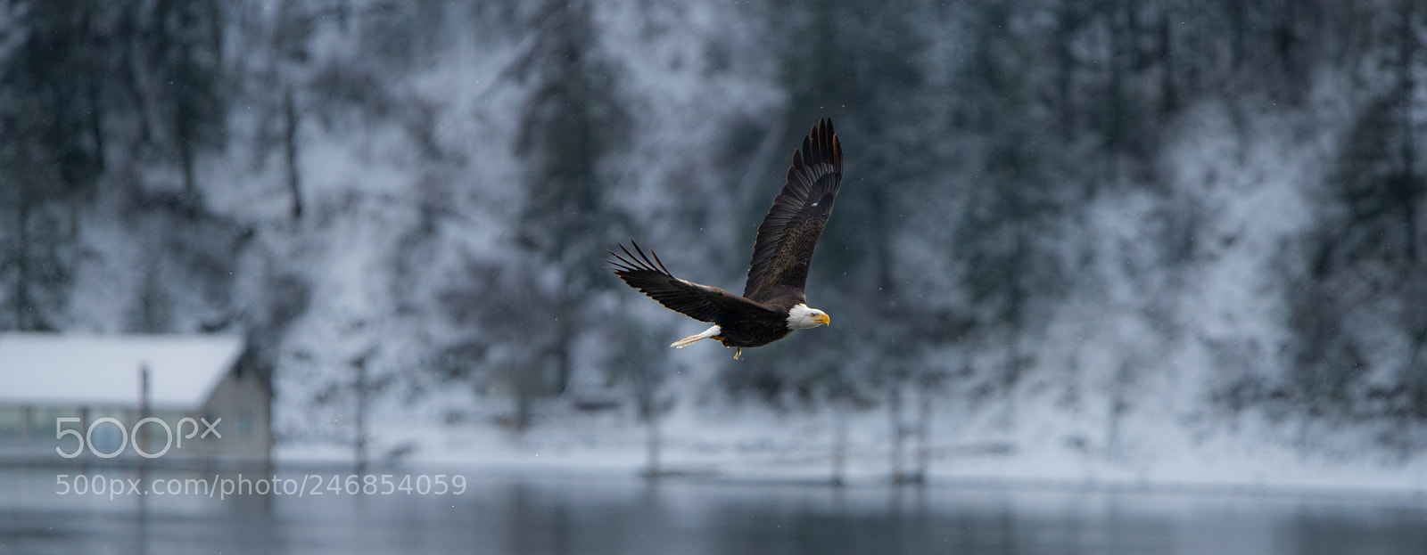 Nikon D810 sample photo. Snowy lake photography