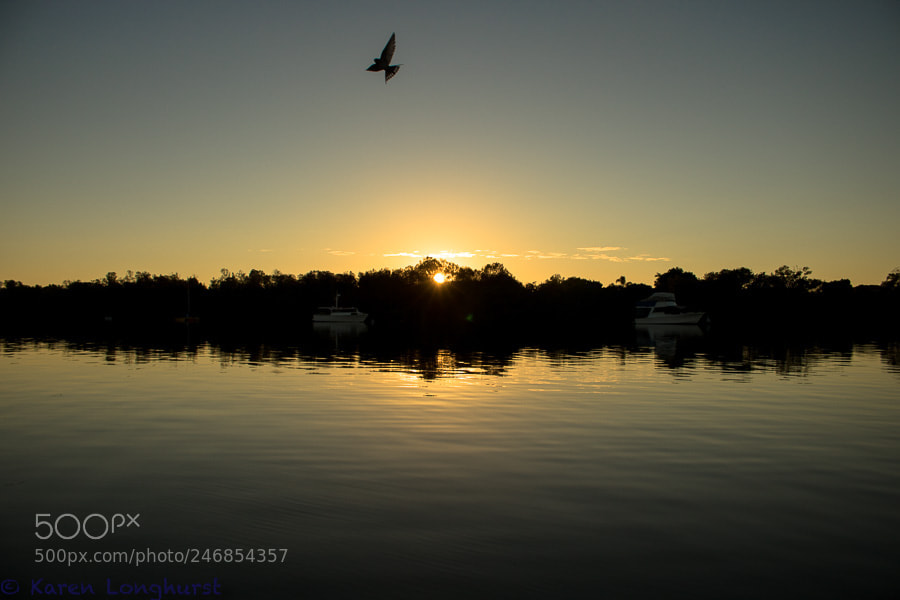Canon EOS 750D (EOS Rebel T6i / EOS Kiss X8i) sample photo. Coomera river early morning photography