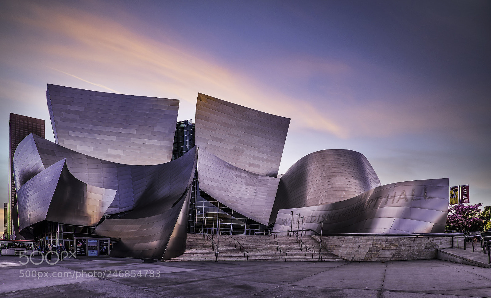 Nikon D810 sample photo. Walt disney concert hall photography
