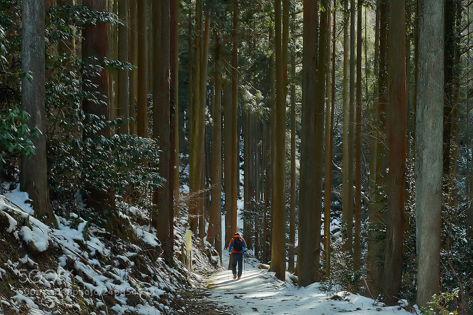 Nikon D800 sample photo. Snow trekking photography