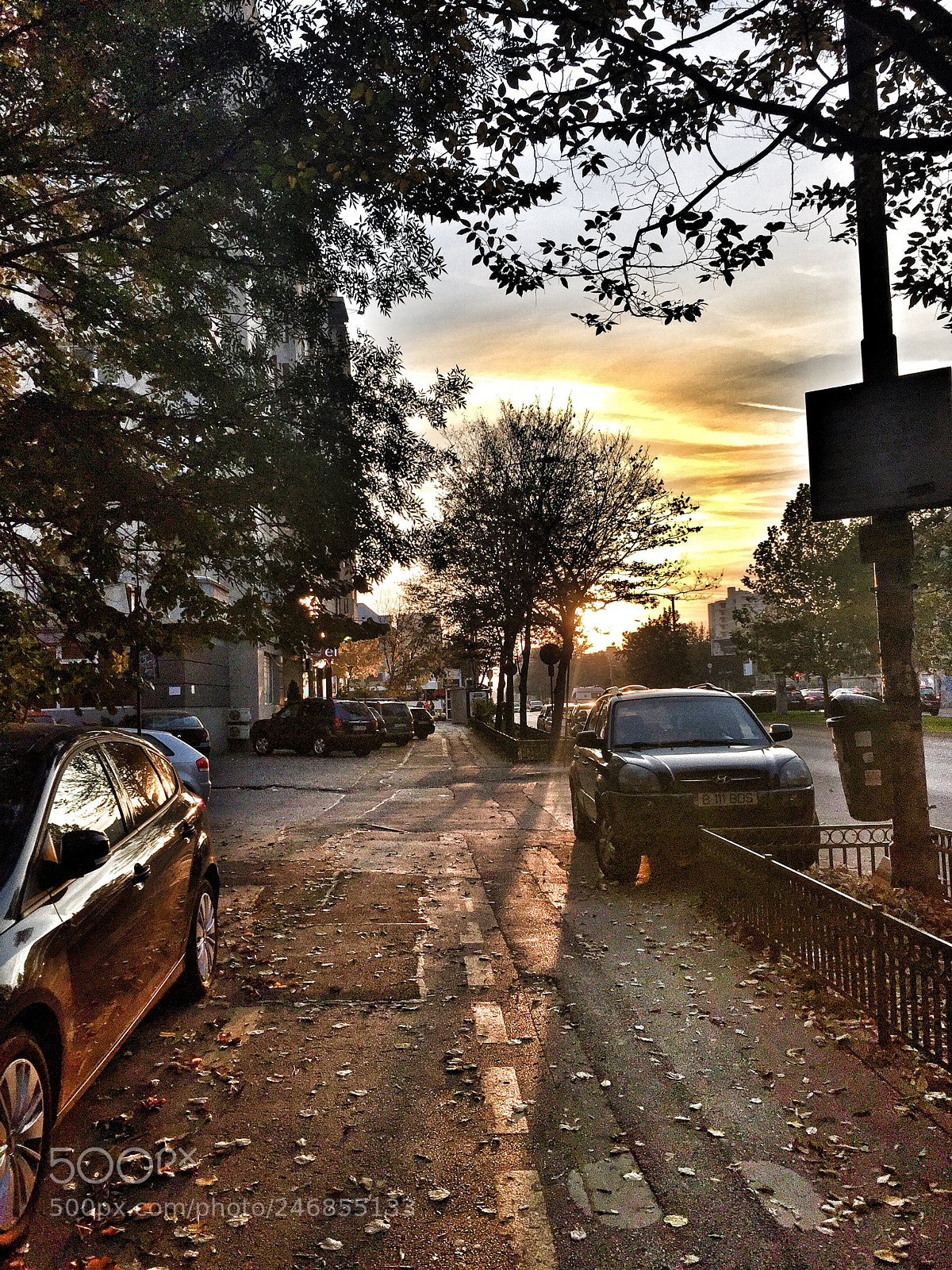 Apple iPhone 6 sample photo. The sun photography