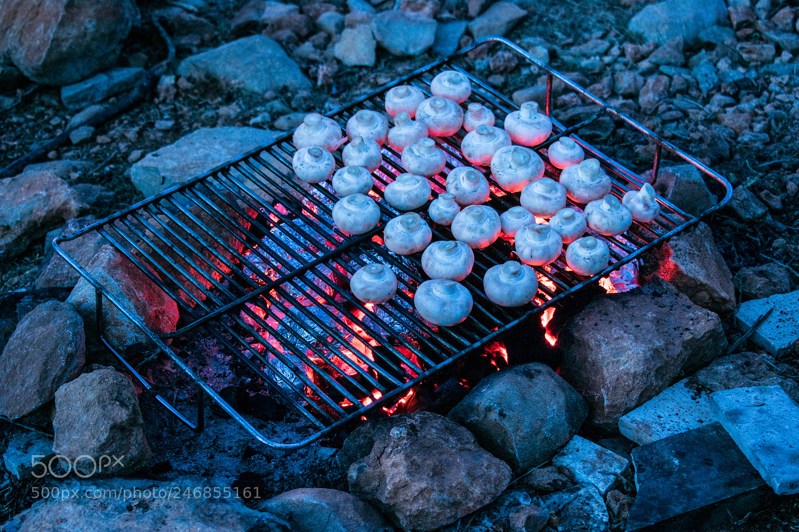 Nikon D3400 sample photo. Bbq in nature photography