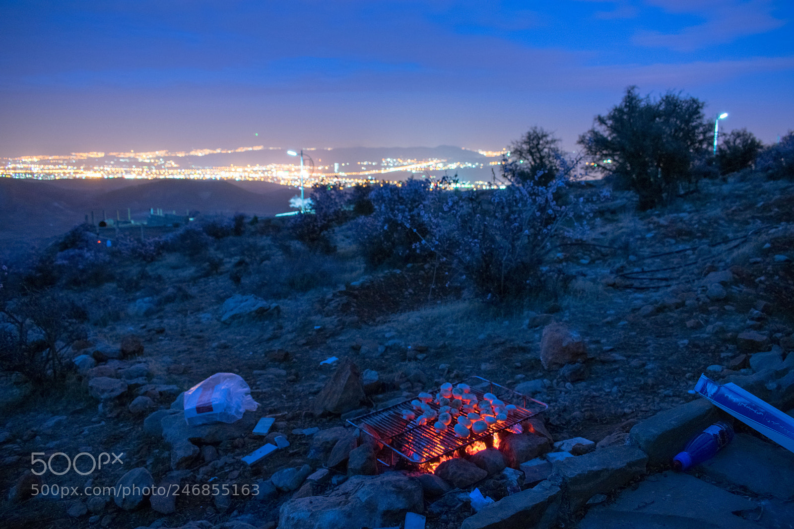 Nikon D3400 sample photo. Bbq in nature 2 photography