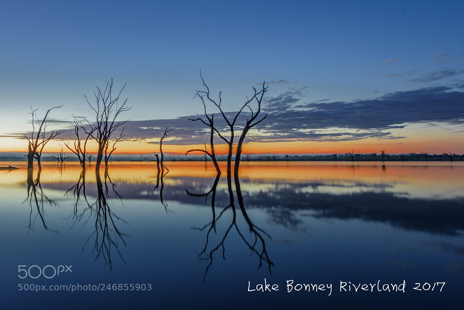 Nikon D800 sample photo. Barmera sa bbb photography