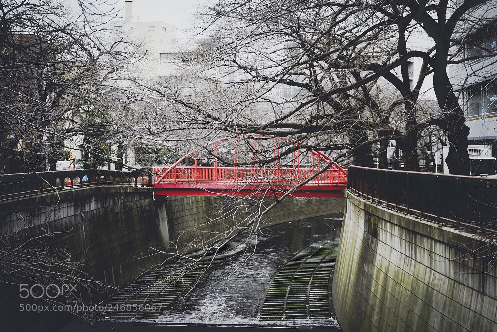 Sony a7R sample photo. Deep  tokyo photography